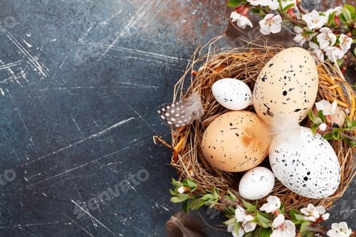 Preview: Easter eggs and cherry blossom