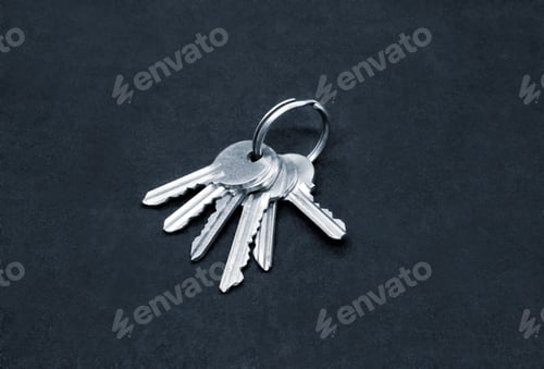 Preview: Many silver keys on the ring on dark background