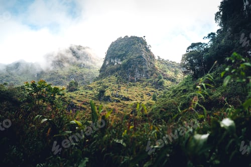 Preview: Green mountain and fog in nature