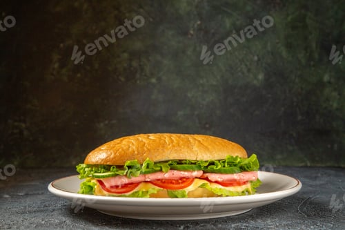 Preview: Tasty homemade sandwich on a white plate on dark distressed background with free space in close up