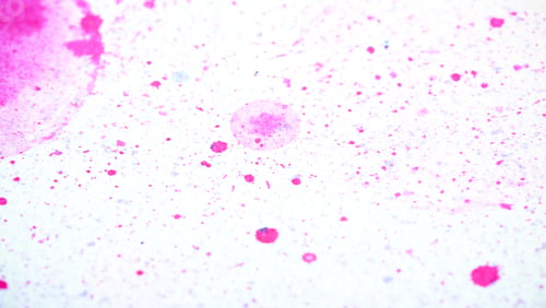 Preview: Bright Paint On White Paper Background Image