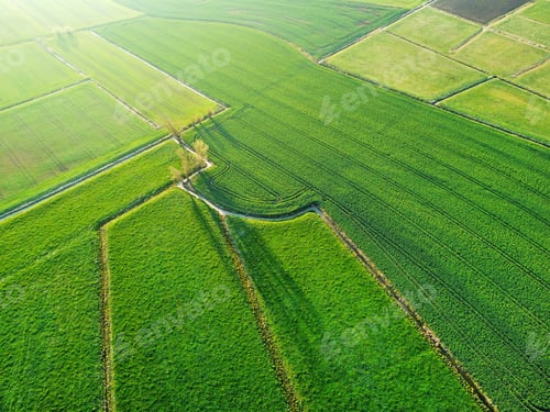 Preview: Aerial view of a spring field