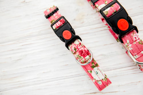 Preview: Dog Collar and Leash set. Pet Supplies and Walking Gear Collection