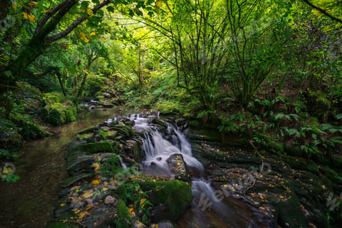 Preview: Idyllic setting with shady pools and waterfalls in early autumn