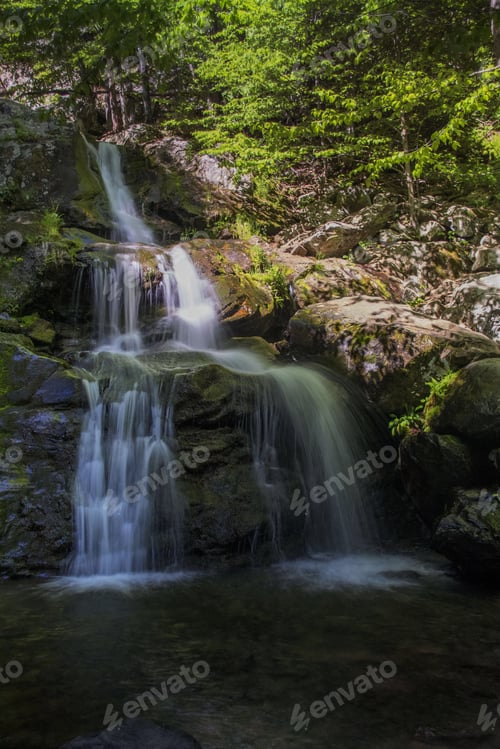 Preview: nature
