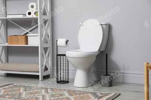 Preview: Ceramic toilet bowl, brush and necessities in restroom