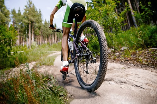 Preview: back male cyclist riding forest trail