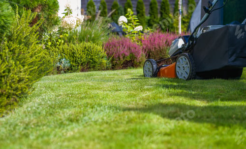 Preview: Lawn Mower and the Beautiful Matured Garden