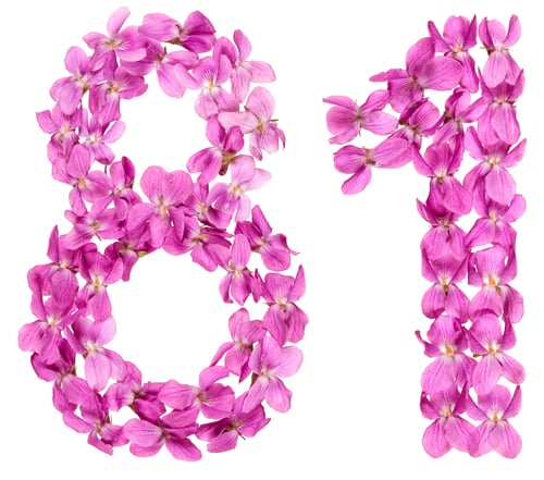 Preview: Arabic numeral 81, eighty one, from flowers of viola, isolated on white background