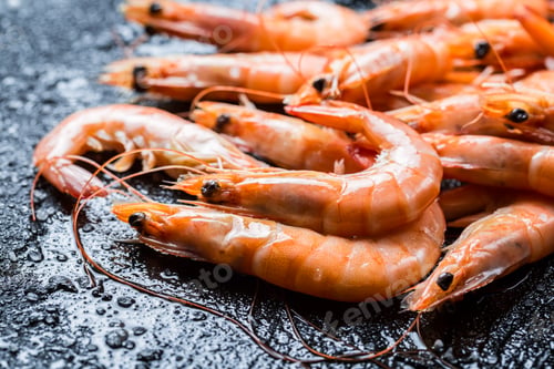 Preview: Freshly caught shrimp on black rock