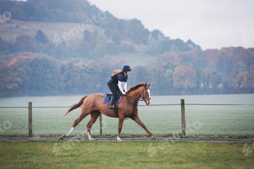 Preview: Woman galloping on a horse along a path with a railing. Racehorse training.