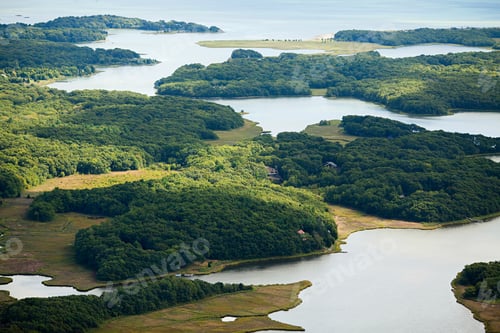 Preview: Aerial view of a serene green landscape with winding waterways.