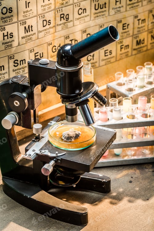 Preview: Vintage laboratory during the mold test