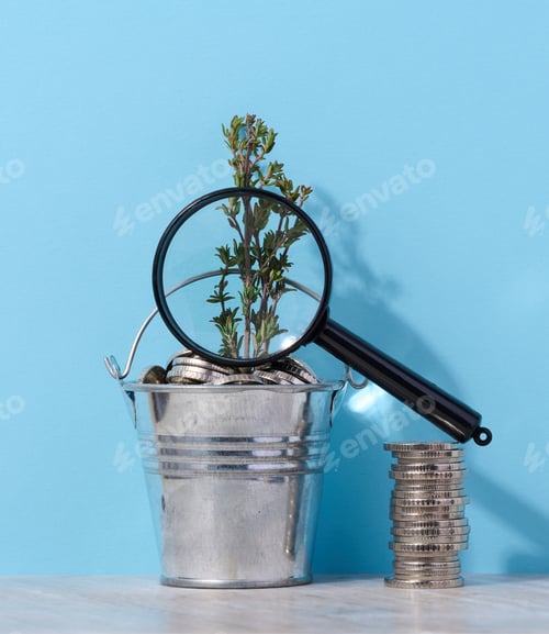 Preview: Coins in a small bucket and a plant, income growth concept