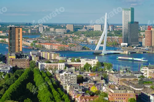 Preview: View of Rotterdam city and the Erasmus bridge