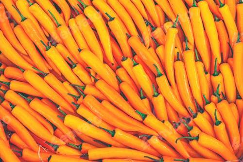 Preview: vegetable background. Many colorful paprika. Colorful vegetables in the market.