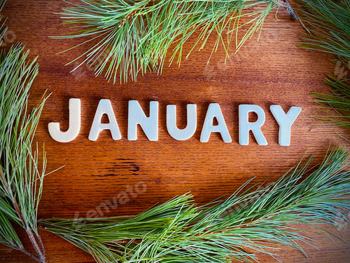 Preview: JANUARY