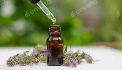 Preview: Thyme extract essential oil. Selective focus. nature.