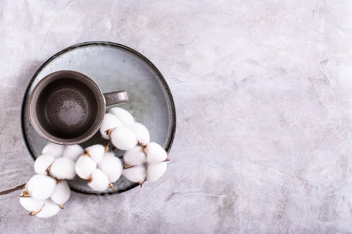 Preview: Empty ceramic mug and branch in cotton on a plate on a gray background top view