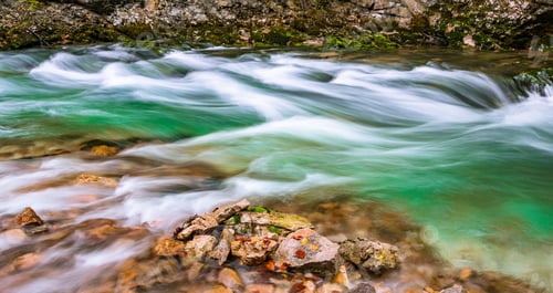 Preview: Autumn leaves in a river. Vintgar Gorge in a long exposure shot.