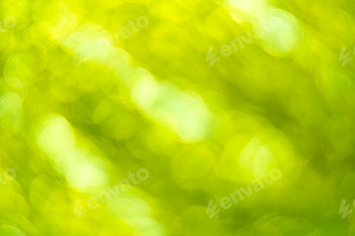 Preview: Green bokeh. Abstract background. Defocused lights.