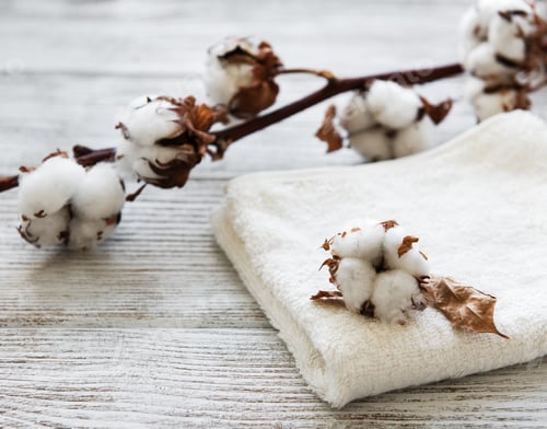 Preview: cotton flower and towel