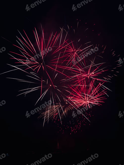 Preview: Bright White and Pink Fireworks