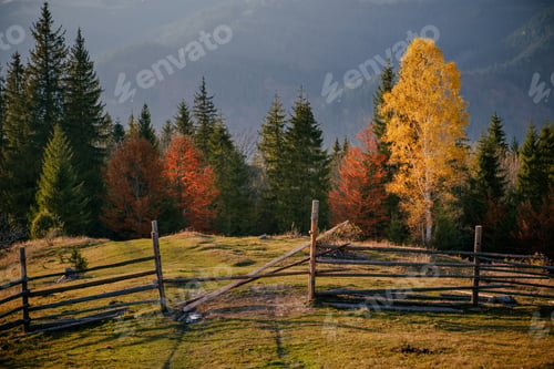 Preview: Mountain autumn forest, hills, yellow trees and foggy landscape at sunrise