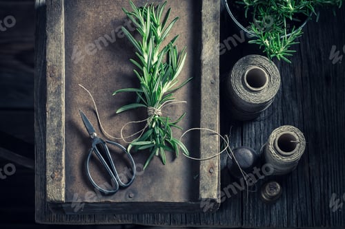 Preview: Freshly harvested rosemary in old rustic kitchen.
