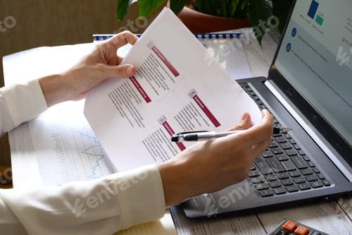 Preview: maintaining a personal budget, studying charts and diagrams, online work, freelancer, income growth,