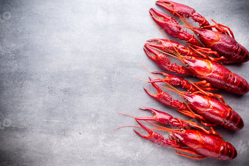 Preview: Crayfish.