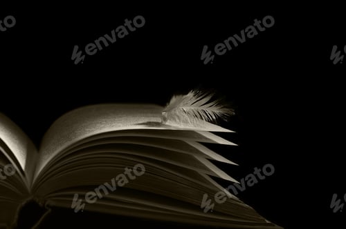 Preview: book angel( skrezhal)