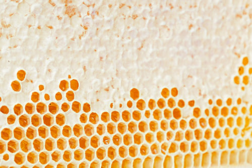Preview: Honeycombs with honey. Natural background.