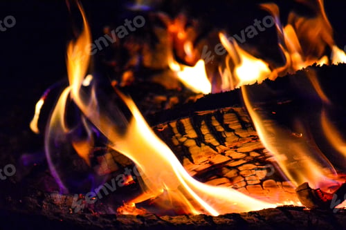 Preview: Closeup of the flames of a campfire with a blurry background during the night
