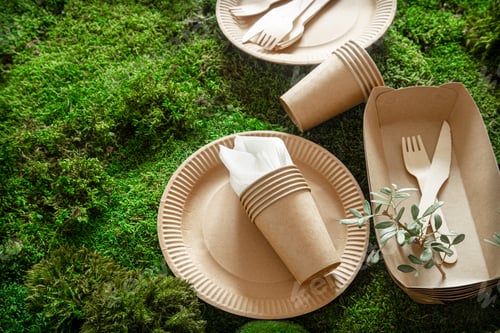 Preview: Eco-friendly, stylish, disposable, convenient, beautiful recyclable tableware.