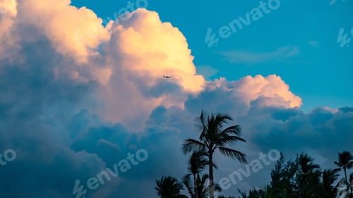 Preview: Landscape of palms under a blue cloudy sky with a plane flying under it