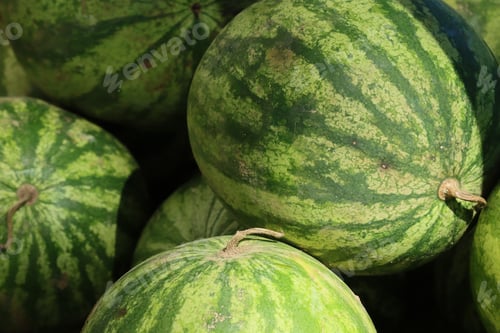 Preview: Fresh Watermelons at market