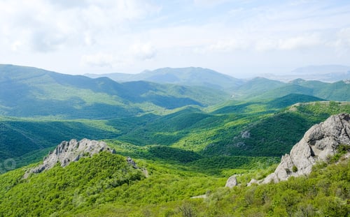 Preview: Mountain valley covered with forest
