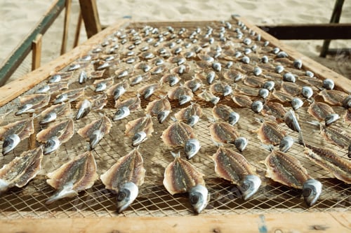 Preview: Dried fish in the open air. Traditional seafood drying in the fishing village of Nazare on the