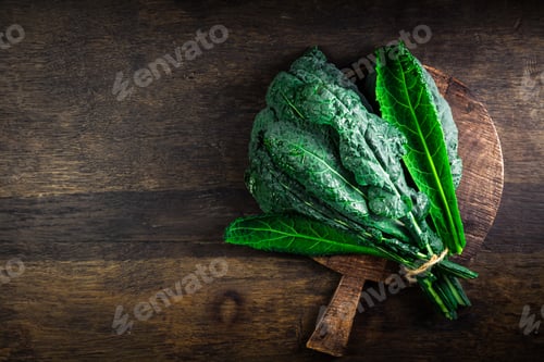 Preview: Palm kale, black cabbage - Cavolo nero black curly kale. Nero di Toscana (Brassica oleracea)