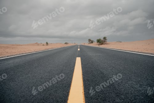 Road in the wild