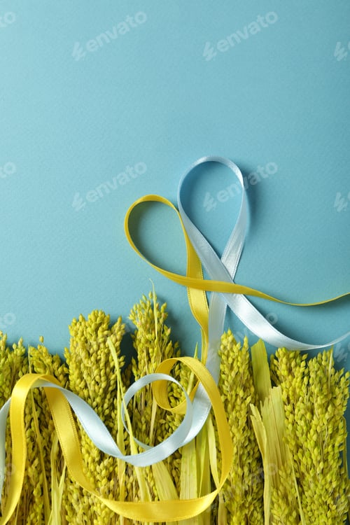 Preview: Help Ukraine concept with dried flowers and ribbons on blue background