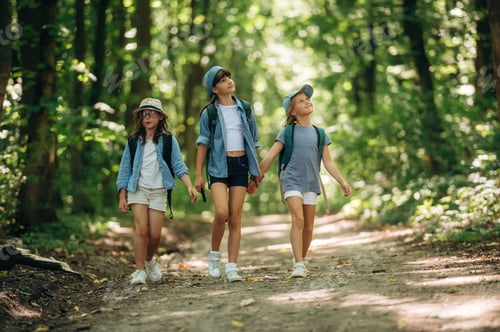 Preview: Going by the path. Girls kids are in the forest, hike conception