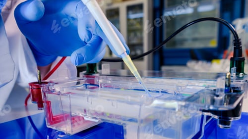 Preview: Scientist conducting the gel electrophoresis biological process as part of coronavirus research