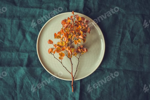 Preview: White round dish and a branch with yellow autumn leaves on dark blue background