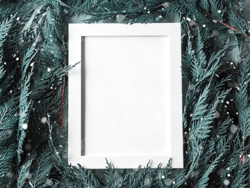 Preview: White empty picture frame for greetings on green conifer branches background. Christmas card