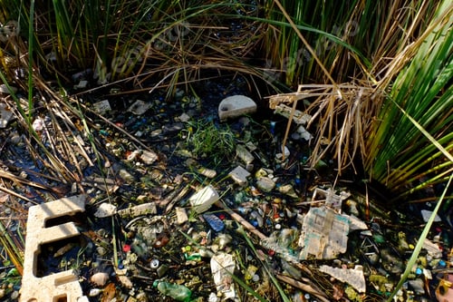 Preview: Many waste over the water surface of the river