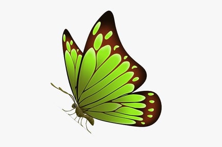 Preview: Stylized Green Wing Butterfly