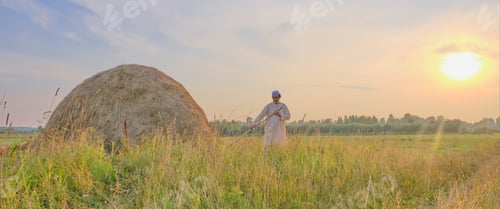 Preview: At sunset senior Muslim man mowing hand-scythe grass in hayfield.