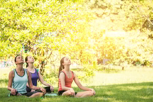 Preview: Group of women doing yoga exercises in the park. Concept of healthy lifestyle.